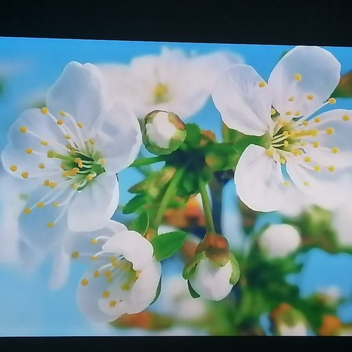 DREADheadz 14 TIM vom 1.7.2025 DUB´n´Reggae beim querfunk.de , mit Musik von Noiseshaper,