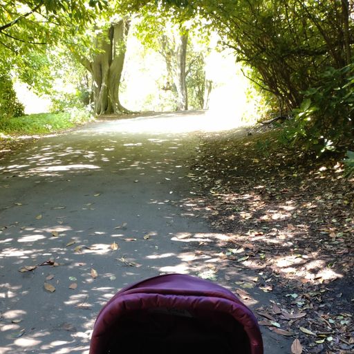 Sonic Shuggs w.  Miranda - September 2022