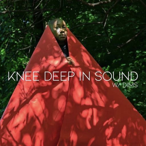 Knee Deep In Sound w/ Dims - August 2022
