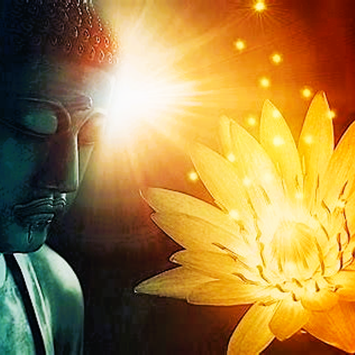 Lotus Unfolding (ExtendedLoungeJazzFusion)