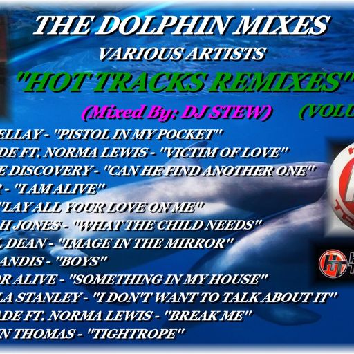 THE DOLPHIN MIXES - VARIOUS ARTISTS - ''HOT TRACKS REMIXES'' (VOLUME 34)