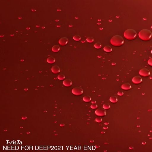 "New" Best Of Vocal Deep House & Chillout MIXTAPE | NEED FOR DEEP2021 YEAR END Mixed by Dj T-risTa