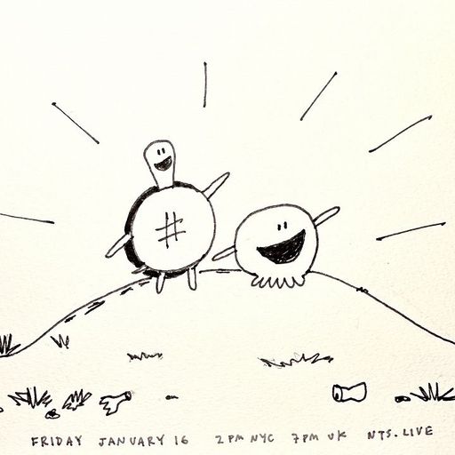 James McNew (YO LA TENGO) - 16th January 2026