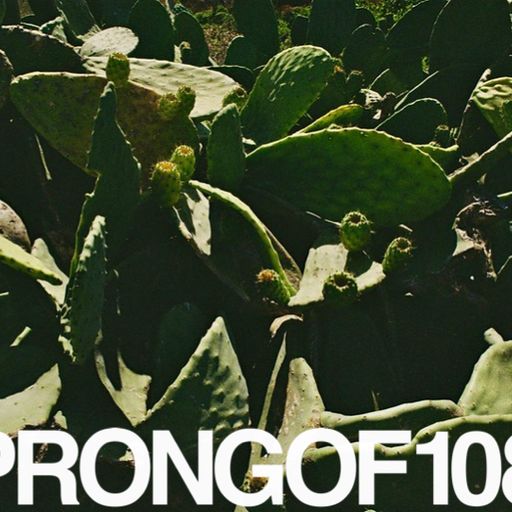 Prongof108 #149 Urlaubstraeume 3 with Samuele Paletti 16.03.2020