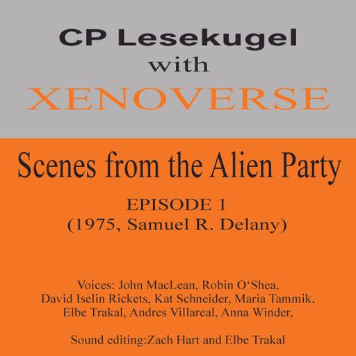 CITTIPUNKT Radio – CP Lesekugel #6 with XENOVERSE reads Dhalgren by Samuel R. Delany 12.12.2024