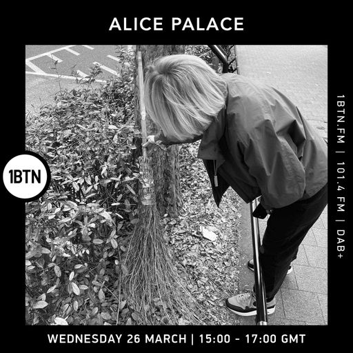 Alice Palace - 26.03.25