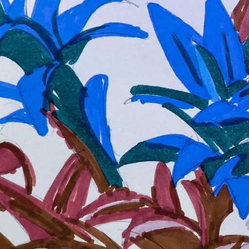 BROMELIA BLOSSOMS W/ SERGIO CALDERONI - 31st December 2024