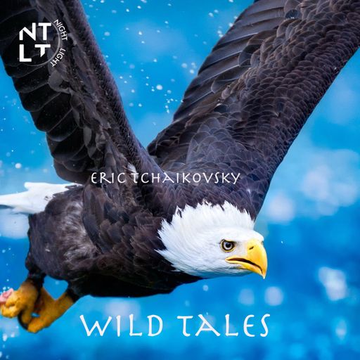 Wild Tales