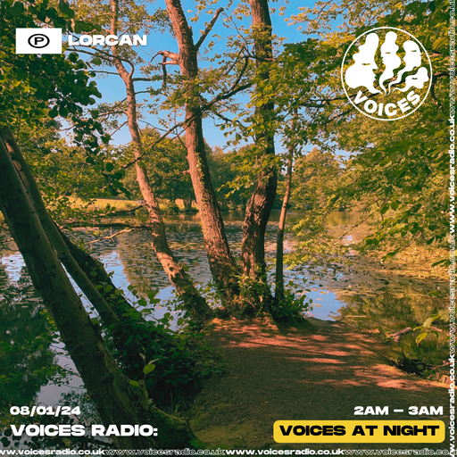 Lorcan - 08/01/24 - Voices Radio