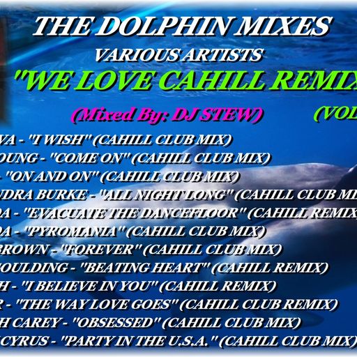 THE DOLPHIN MIXES - VARIOUS ARTISTS - ''WE LOVE CAHILL REMIXES'' (VOLUME 2)