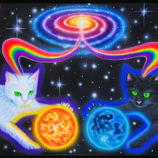Space Cat