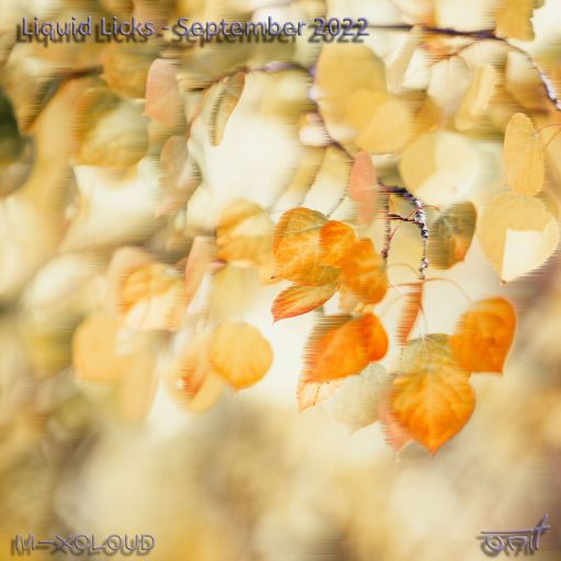 Liquid Licks - September 2022