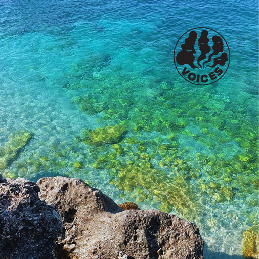 Violet Rays w/ athenian lychee - 10/06/25 - Voices Radio