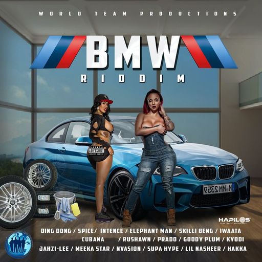 DJ Vital - BMW Riddim Mix (Ft Ding Dong, Intence, I Waata, Kyodi, Meeka Star, Nvasion, Prado)