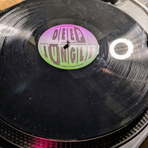 Underground Vibes Jungle Special Juni 2025 mit DJ Nebuk und Chris Vinylist