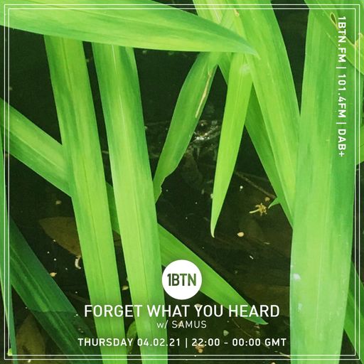Forget What You Heard - 04.02.2021