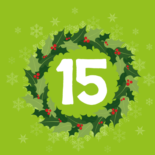 25 Sets to Christmas No 15 (151223)