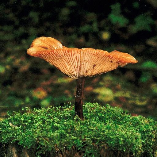 Sendspaace  - 5th July 2021