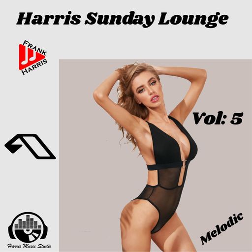 Frank Harris - Harris Sunday Lounge 5