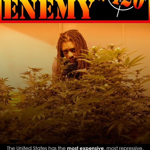 Public Enemy 420
