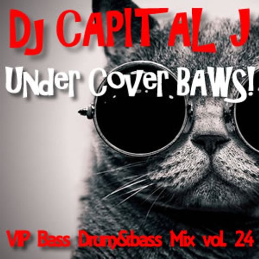 DJ CAPITAL J - UNDER COVER BAWS! [VIP BASS MIX vol. 24