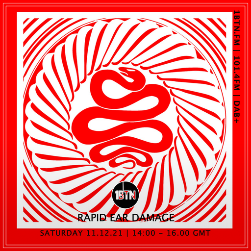 Rapid Ear Damage - 12.12.2021
