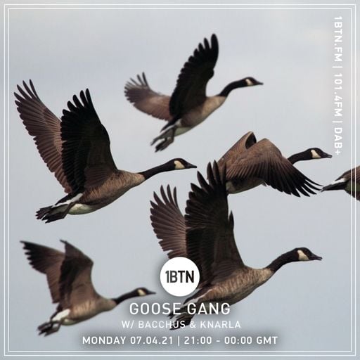 Goose Gang with Bacchus and Knarla - 07.04.2021
