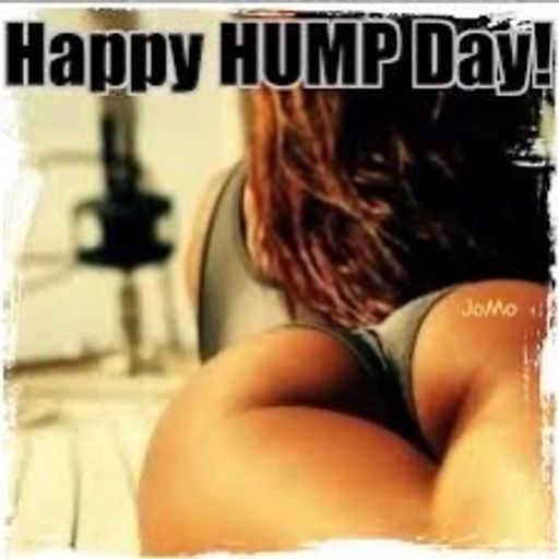 Wiggle Wednesday 11.1