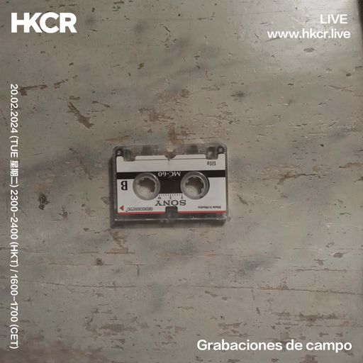 Grabaciones de campo - 17/02/2024