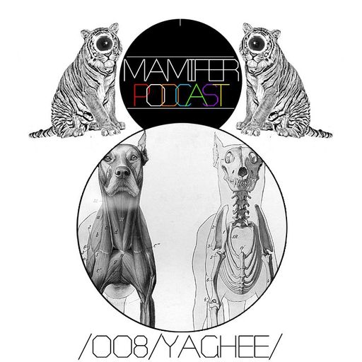 Mamifer Podcast #8 - Yaghee