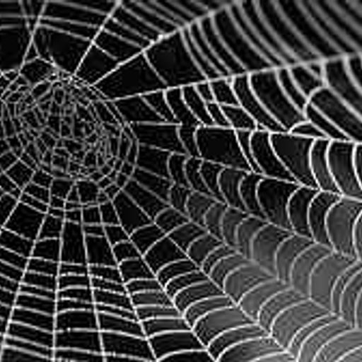 The Spider's Web (R3aktor3Mix)