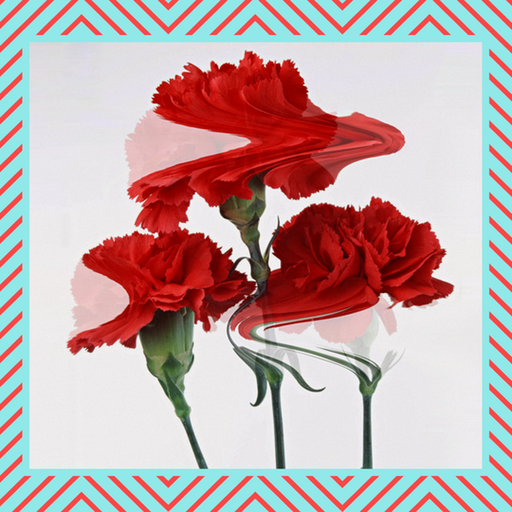 Ginga Beat – Rita Maia