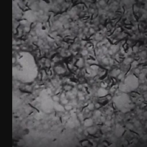 Melody and Concrete with Kali Louise (25/07/2018)