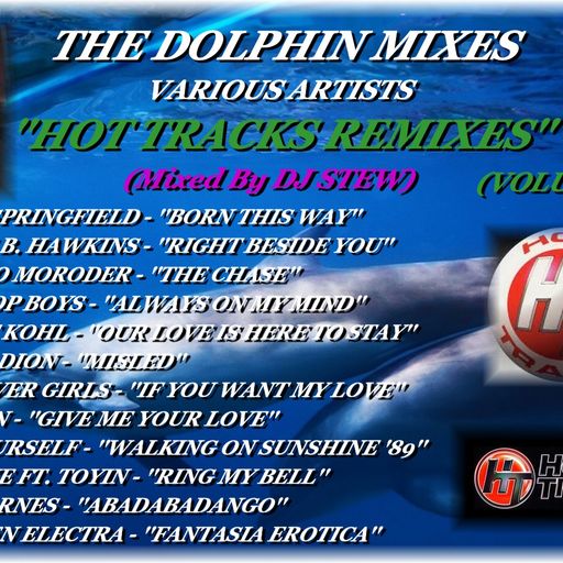 THE DOLPHIN MIXES - VARIOUS ARTISTS - ''HOT TRACKS REMIXES'' (VOLUME 23)
