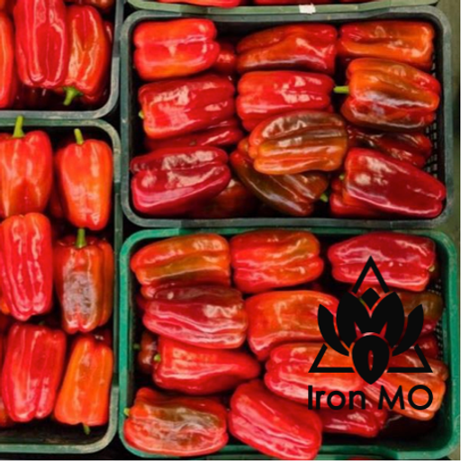 Music session by IronMary #3