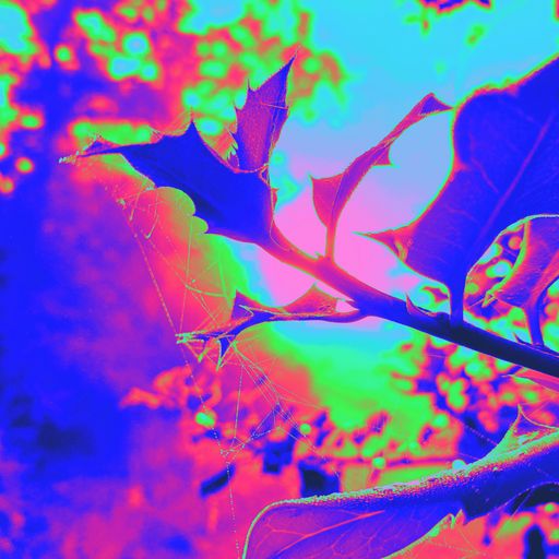 Mid week psy sessions 1. (19/10/22)