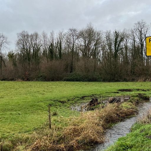 The Slip - 23rd February 2025