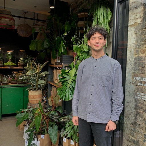 Alec Tempo - 28/01/23