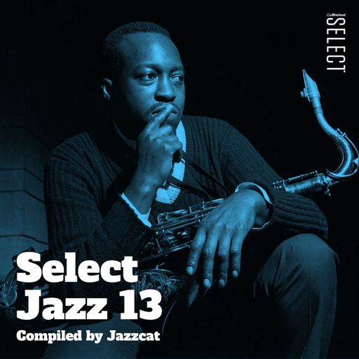 Select Jazz 13
