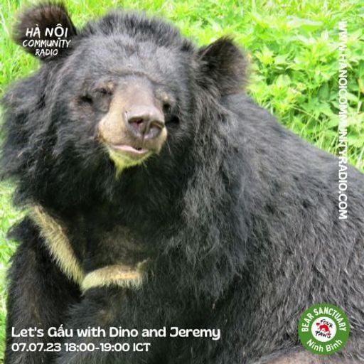 Let's Gấu w/ Dino & Jeremy 07.07.23