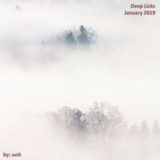 Deep Licks January 2019