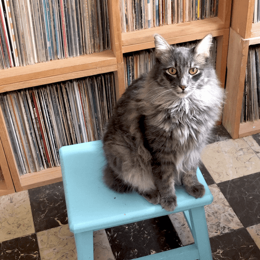 Head Sounds: Tostoni // 15-01-22