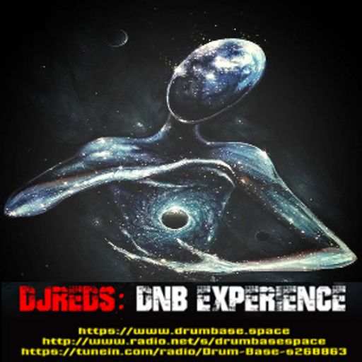 dnb experience 29062019