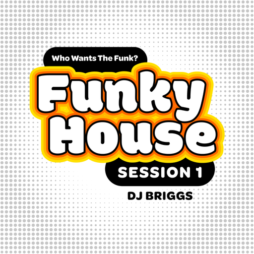 Funky House Session1 - Dj Briggs