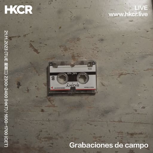 Grabaciones de campo - 21/11/2023