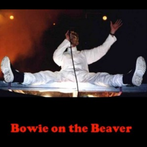 Bowie Live at Stadion am Bieberer Berg, Offenbach am Main 8 June 1997. Earthling Tour