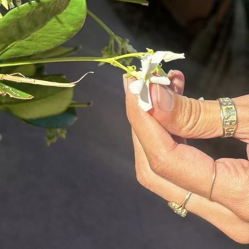 Rahill - 22nd April 2026