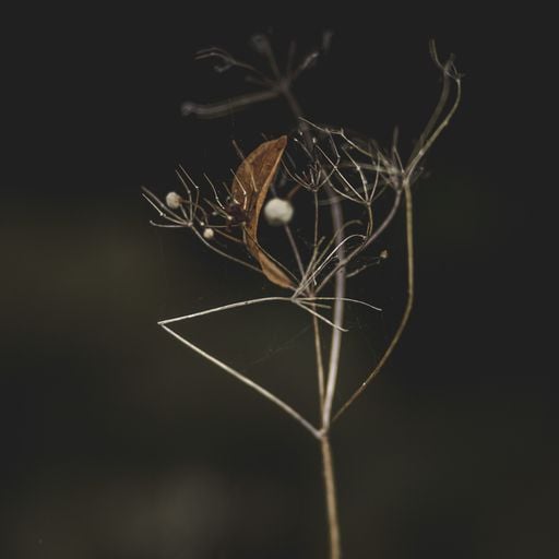 in between 19th of September TTNS