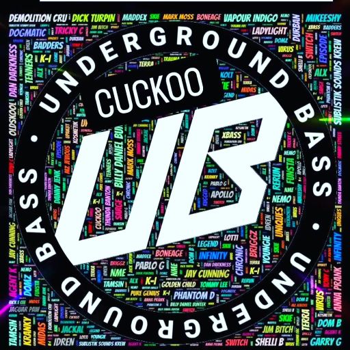 THURSDAY 8-2-24  LIQUID LUNCH ISH COVER SHOW ON UNDERGROUNDBASS.UK