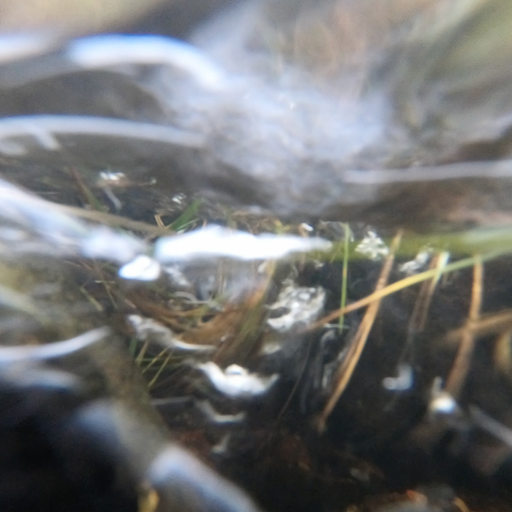 RadioActive - on Water #3 - Watered by RE-PEAT - 8th May 2024